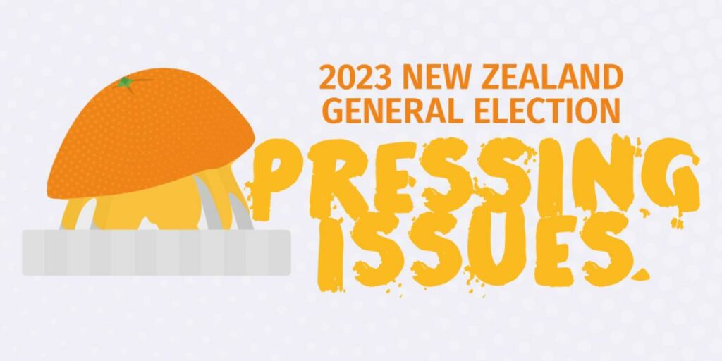 Pressing Issues of the 2023 New Zealand General Election