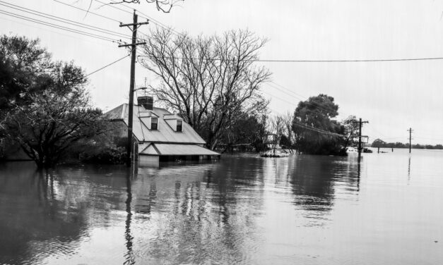 Gisborne Flood: 1948