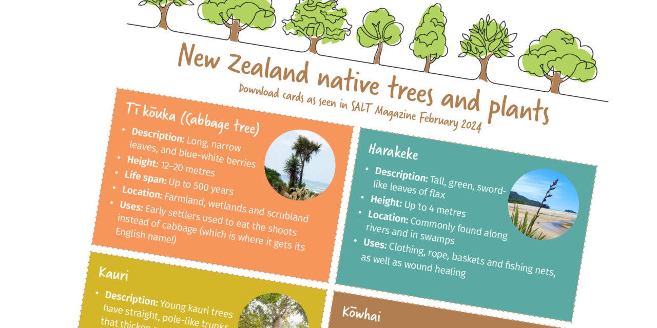 NZ Native Trees SALT Magazine