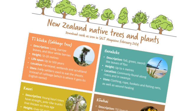 NZ Native Trees